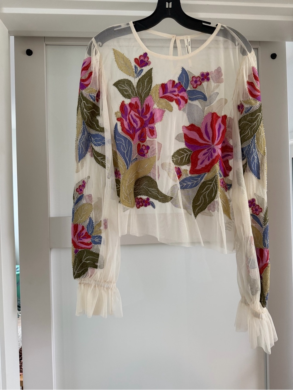 Sheer Embroidered Floral Long-Sleeve Top - Cream with Pink & Green